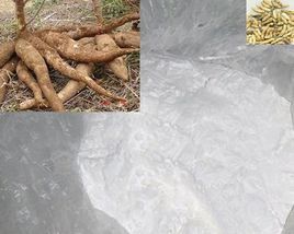 中國木薯淀粉行業(yè)重點企業(yè)分析