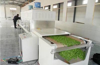 微波蔬菜烘干機 果蔬脫水干燥與殺菌的現(xiàn)代化設備